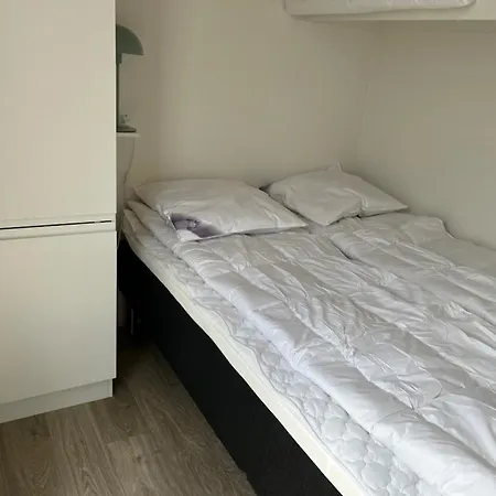 Dcu-camping Lyngvig 营地